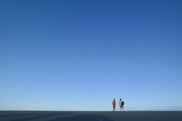 Les 10 meilleures plantes pour un jardin à faible entretien