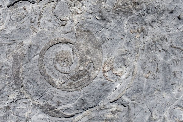 Pourquoi installer un poêle mixte bois et granulés ?