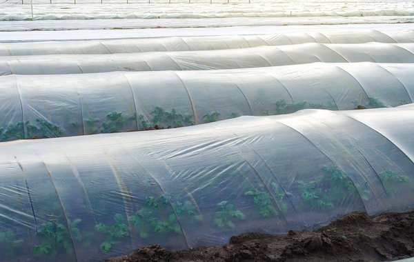 Le tunnel de stockage : que savoir ?