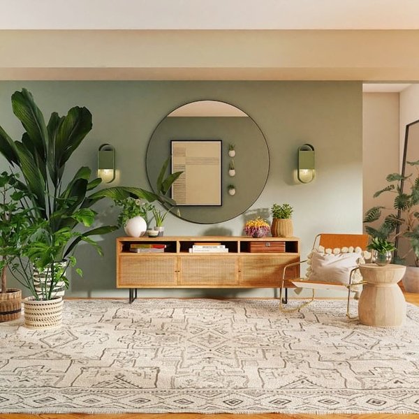 Les plantes d'intérieur : lesquelles choisir pour donner une touche de verdure à votre maison ?